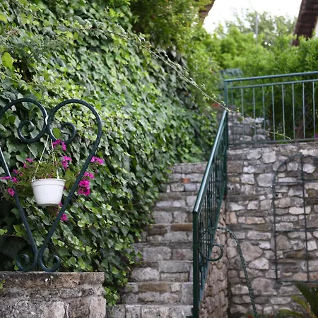 Sokaku Monark Villa Berat