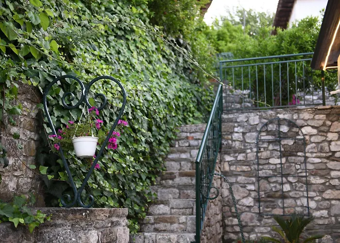 Sokaku Monark Villa Berat